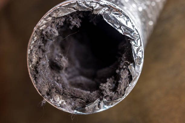 Best Affordable HVAC Duct Cleaning  in Cary, NC