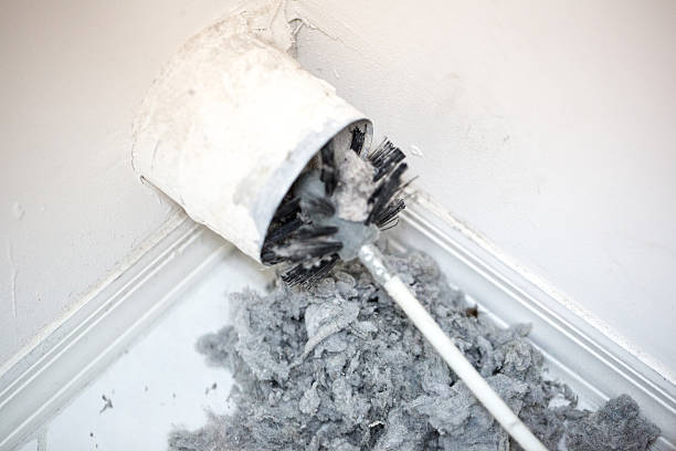 Best Professional Duct Cleaning Services  in Cary, NC